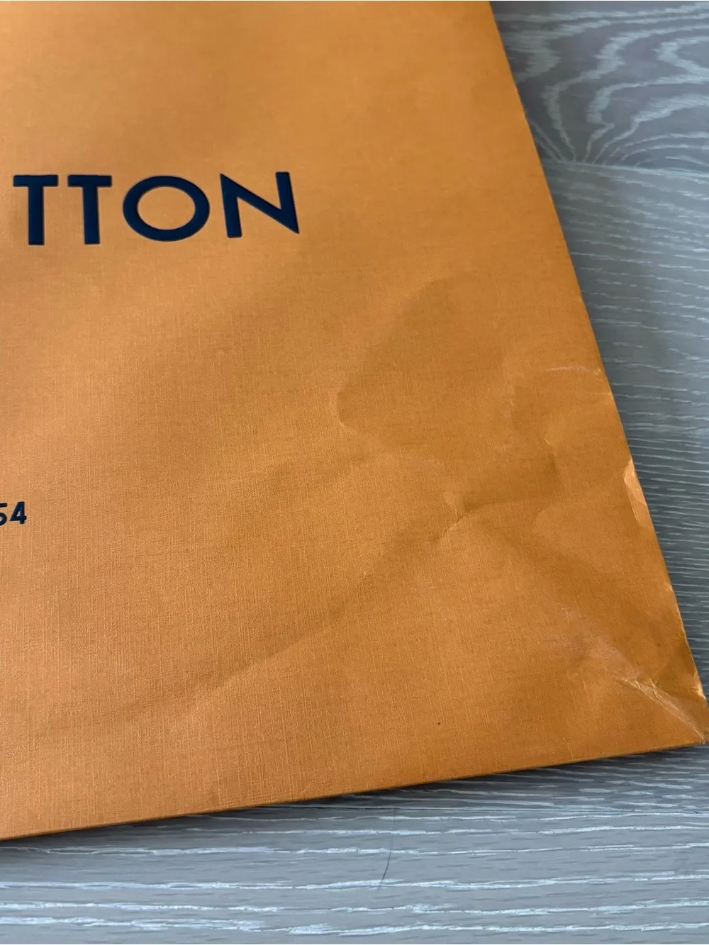 Louis Vuitton Medium Large Shopping Gift Bag